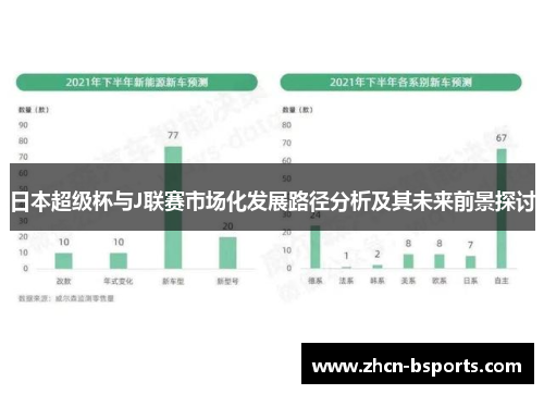 日本超级杯与J联赛市场化发展路径分析及其未来前景探讨
