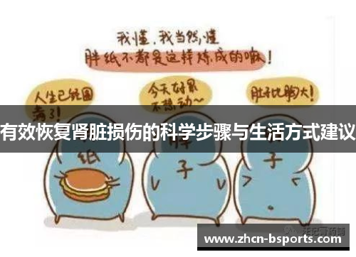 有效恢复肾脏损伤的科学步骤与生活方式建议