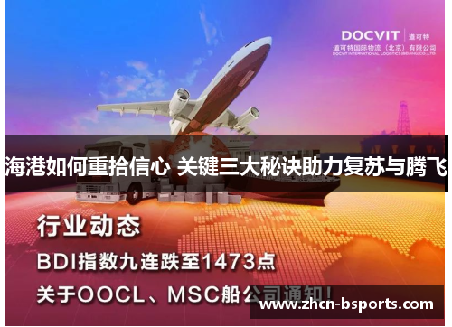 海港如何重拾信心 关键三大秘诀助力复苏与腾飞